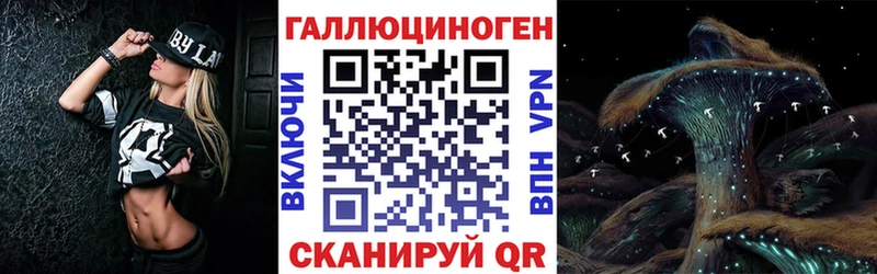 Псилоцибиновые грибы Psilocybine cubensis  Каргат 